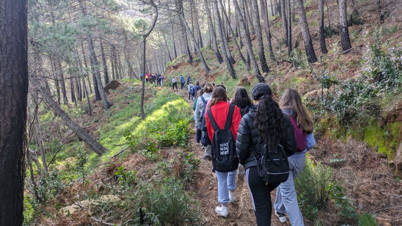 Imagen de WhatsApp 2024 02 07 a las 15.07.03 b4de54fd